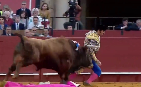 Ισπανία: Σοβαρός τραυματισμός για τον «Βασιλιά των Ταυρομάχων» - Τον «κάρφωσε» ο ταύρος (Βίντεο)
