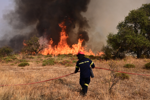 Ξυλόκαστρο: Συνελήφθη 58χρονος για πυρκαγιά από αμέλεια σε φωτοβολταϊκό πάρκο