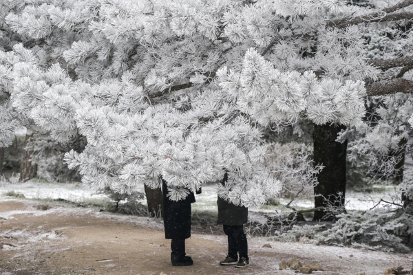 Υπέροχες εικόνες από τη χιονισμένη Πάρνηθα