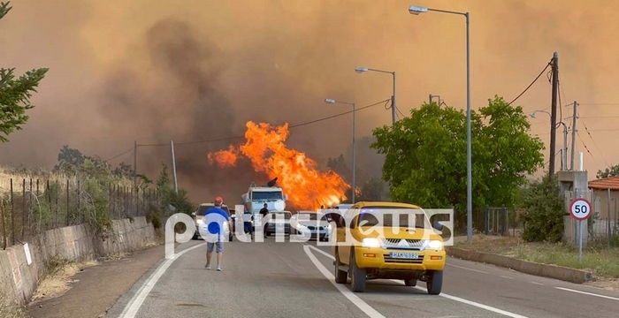 fwtia pirkagia ilia lalas patrisnews 1