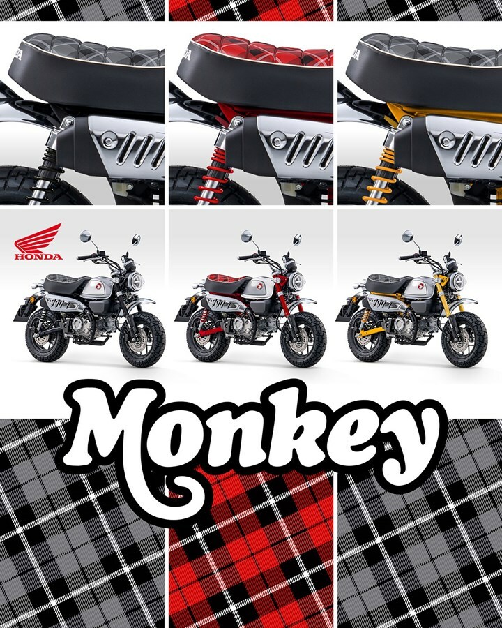 413297 23YM HONDA MONKEY 12557191