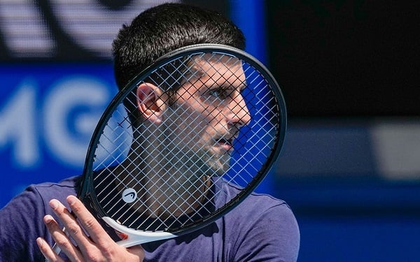 nole 2 960x600