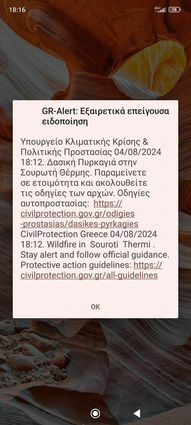 WhatsApp_Image_2024-08-04_at_18.21.38_1585e.jpeg