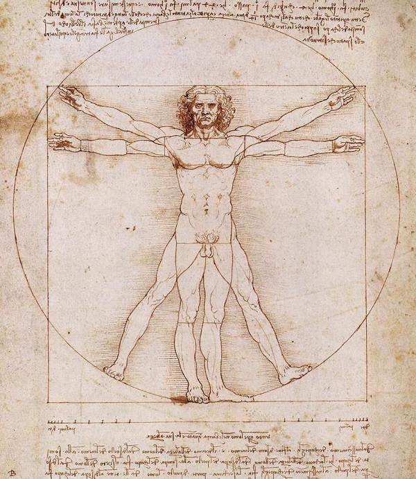 vitruvian