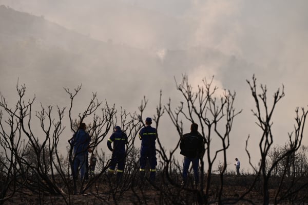 Στάχτη 65.000 στρέμματα δάσους στην Κορινθία