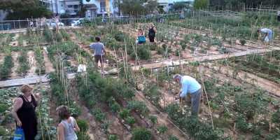 Αιτήσεις για τον δημοτικό λαχανόκηπο Καλαμάτας