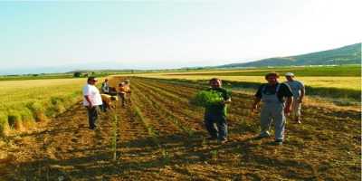 Ποιοι αγρότες έχουν απαλλαγή από το τέλος επιτηδεύματος