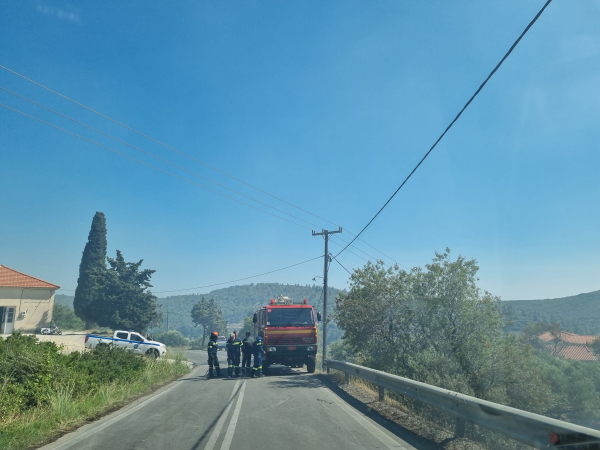 Ηλικιωμένη επιχείρησε να κάψει σφηκοφωλιά και προκάλεσε τη μεγάλη φωτιά στη Σάμο