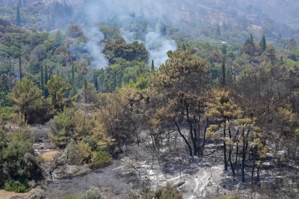 Σάμος: Συνελήφθη 28χρονος για πρόκληση φωτιάς από πρόθεση