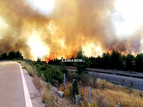 Φωτιά στο Μαρτίνο: Οι φλόγες πέρασαν την Εθνική Οδό Αθηνών - Λαμίας (photos - video)