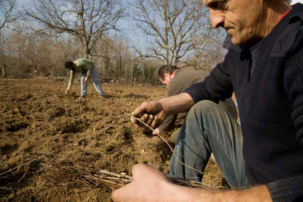 Πληρωμές αποζημιώσεων 31.8 εκατ ευρώ κάνει ο ΕΛΓΑ