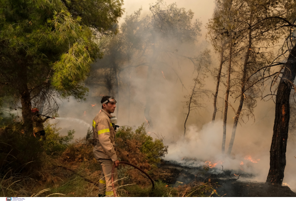 Φωτιά σε δασική έκταση στη Ρόδο