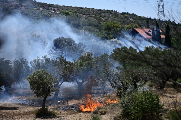 φωτογραφία αρχείου