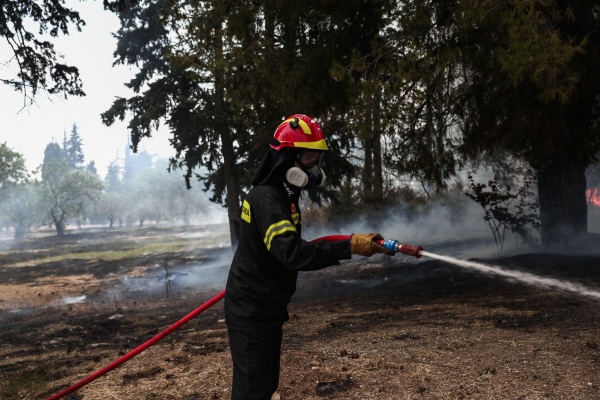 Φωτιά: «Εκκενώστε Μαραθώνα και Καλέτζι», μήνυμα από το 112 (εικόνα, βίντεο)