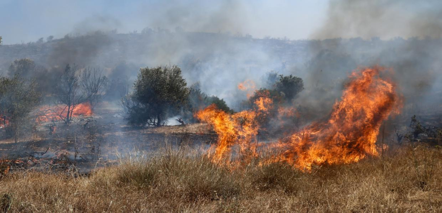 Φωτιά τώρα στην Πρέβεζα