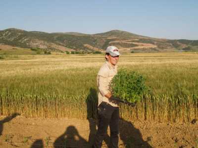 Προγράμματα για αγρότισσες σχεδιάζει το ΥπΑΑΤ σε συνεργασία με την ΓΓΙΦ