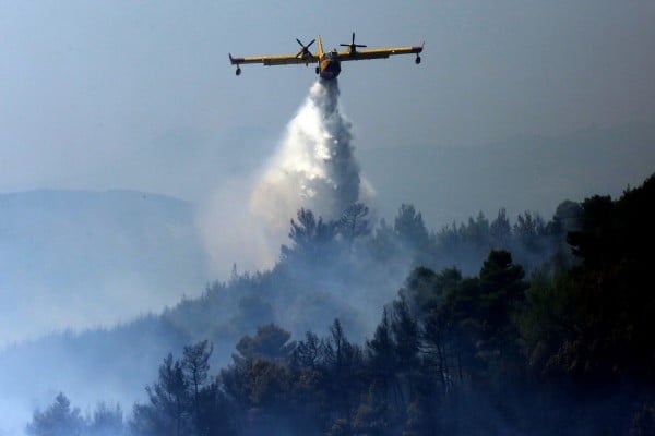 Σε εξέλιξη πυρκαγιά στην Αλεξανδρούπολη