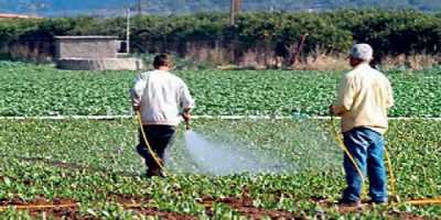 Σπουδάστριες ΤΕΙ βραβεύτηκαν για ζιζανιοκτόνο ακίνδυνο για τον άνθρωπο