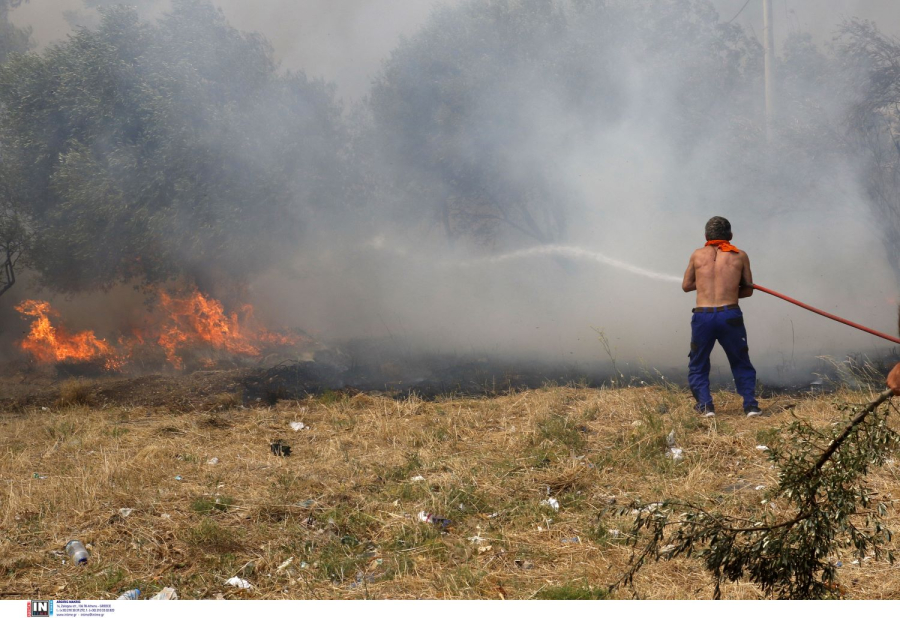 Σε πύρινη πολιορκία ο Έβρος, καλά νέα από τη Λευκίμμη - Δύσκολη η κατάσταση στα άλλα μέτωπα