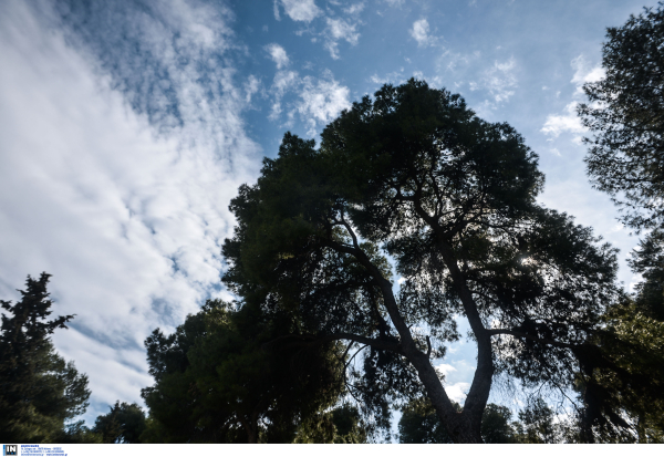 Καιρός: Μικρή πτώση της θερμοκρασίας και με συννεφιά το Σάββατο