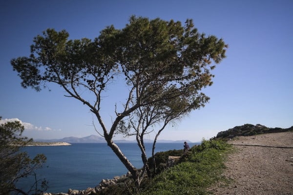 Καλλιάνος: Έρχεται ήπιος καύσωνας από την Τρίτη