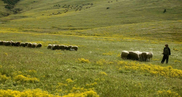 Έρχεται πρόγραμμα ύψους 420 εκατ. ευρώ για νέους αγρότες και γεωργούς