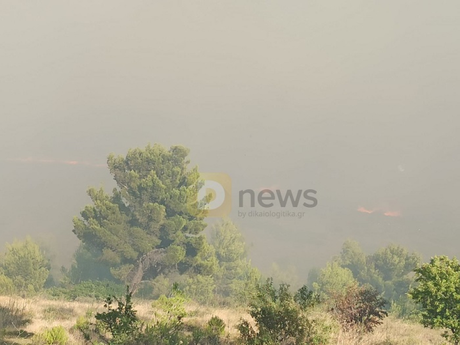 Φωτιά σε Πεντέλη - Ντράφι: Ανεξέλεγκτη η φωτιά, «αγγίζει» σπίτια (LIVE)