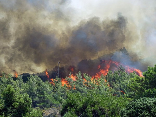 Μεγάλος κίνδυνος φωτιάς... σε όλη τη χώρα σήμερα Πέμπτη 5/8