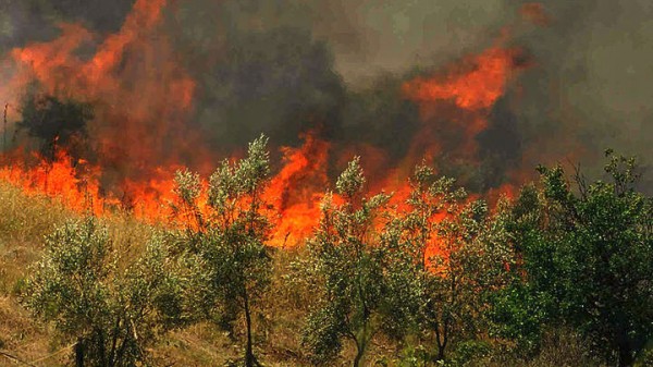 Πυρκαγιά στον Ίασμο Ροδόπης