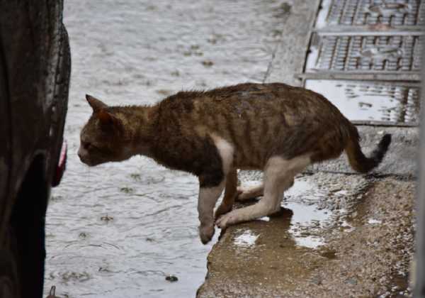 Τα «γυρίζει» ο καιρός με βροχές και πτώση της θερμοκρασίας σήμερα και αύριο