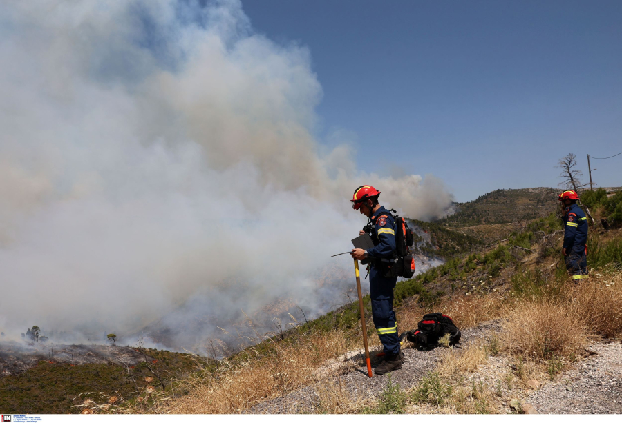 Φωτιά τώρα στην Αλίατρο Βοιωτίας