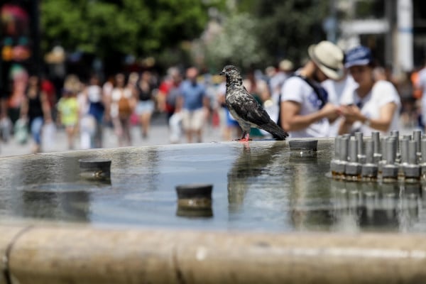 Μέτρα του Δήμου Αθηναίων για τον καύσωνα