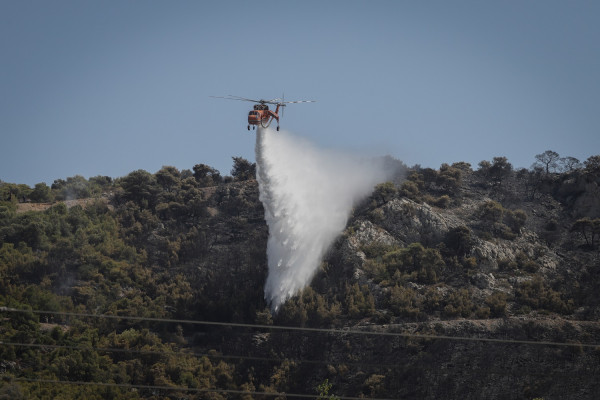 Πυροσβεστική: 55 δασικές πυρκαγιές ξέσπασαν μέσα σε ένα 24ωρο