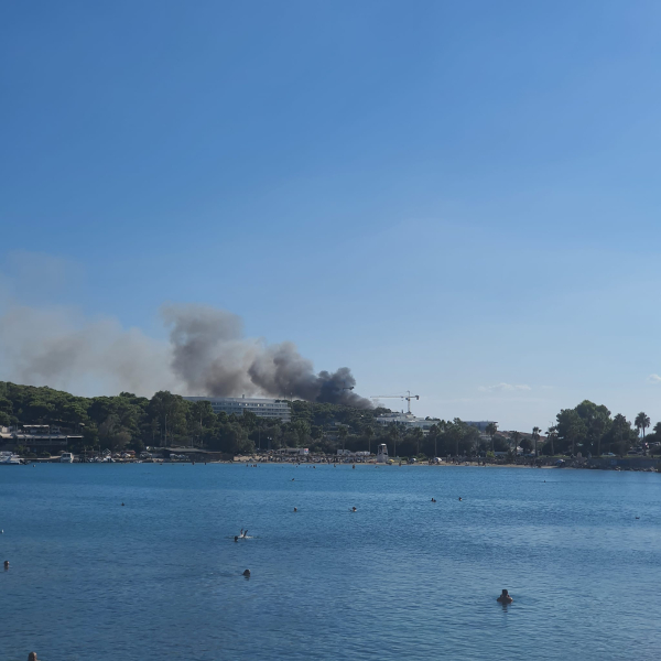 Υπό μερικό έλεγχο η φωτιά κοντά στον Αστέρα Βουλιαγμένης