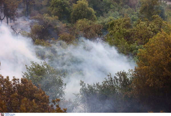 Στον εισαγγελέα ο 33χρονος Τούρκος εμπρηστής για τις φωτιές στο όρος Αιγάλεω