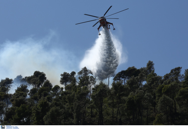 Υπό μερικό έλεγχο η φωτιά στα Χανιά