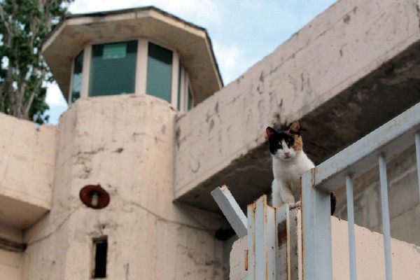 Ηρωίνη και μαχαίρι βρέθηκαν σε κελί των φυλακών Κέρκυρας