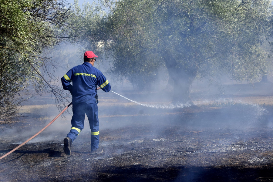 Σαράντα τρεις δασικές πυρκαγιές το τελευταίο 24ωρο σε όλη την Ελλάδα