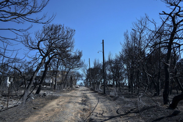 Λέκκας: 100 περιοχές σαν το Μάτι - Ακραία φαινόμενα 10 φορές τον χρόνο