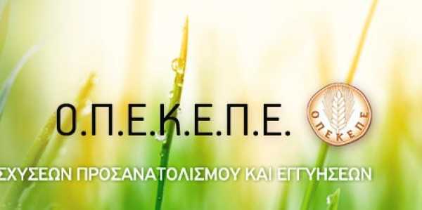 ΟΠΕΚΕΠΕ: Δήλωση ενιαίας ενίσχυσης 2015