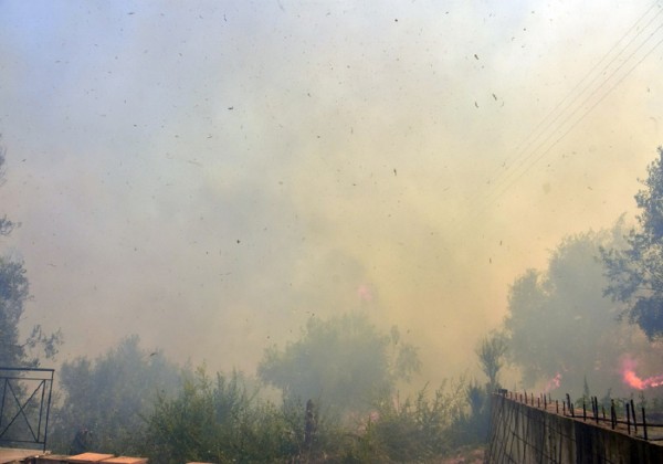 Σε ύφεση η πυρκαγιά στο Διάσελο Ηλείας