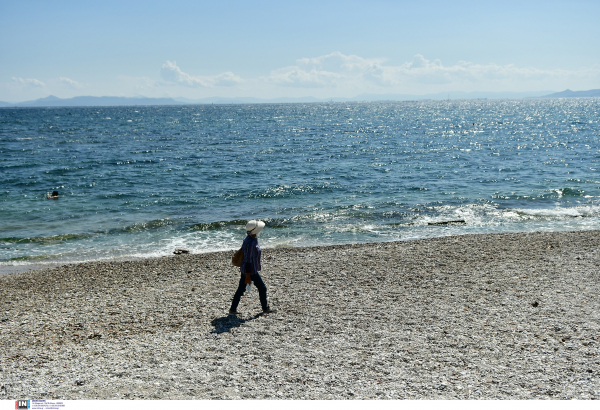 «Βόμβα» Παυλάκη: «Όλα τα παιδιά θα κολλήσουν, δεν ξέρουμε όλη την αλήθεια για τον κορονοϊό» (βίντεο)