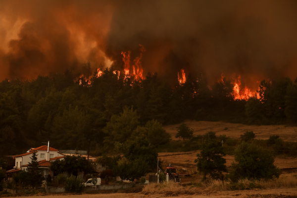 Φωτιά Εύβοια: Η πιλοτική εκτίμηση του METEO για το μέγεθος της καταστροφής