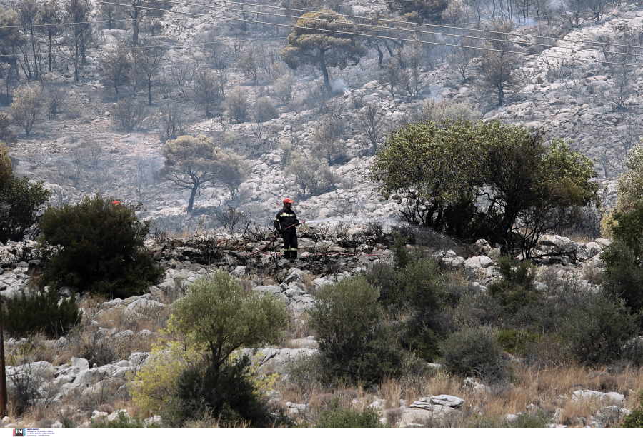 Στον ανακριτή σήμερα ο 65χρονος για τη φωτιά στη Θάσο