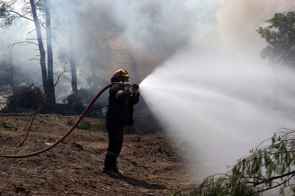 Συγκρατημένη αισιοδοξία για τα πύρινα μέτωπα στην Ηλεία