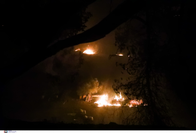 Βασιλίτσι Μεσσηνίας: Κάηκαν σπίτια σε δύο χωριά - Σε εξέλιξη η φωτιά στην Καστάνια Λακωνίας (βίντεο)