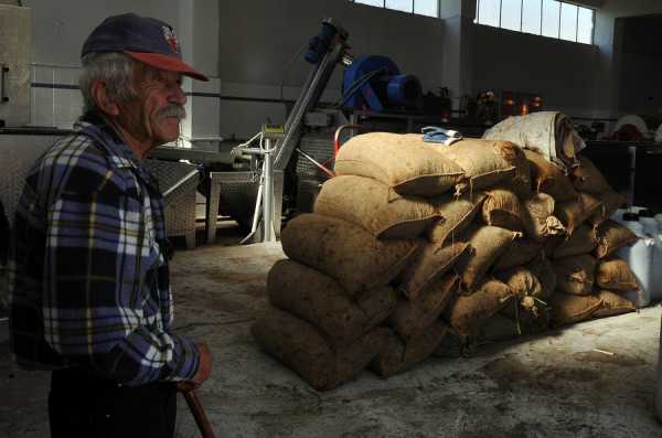 ΟΠΕΚΕΠΕ: Πληρώθηκε η εξισωτική του 2014 - Τέλος Οκτώβρη οι επιδοτήσεις