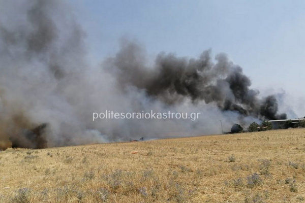 Φωτιά στη Νεοχωρούδα Θεσσαλονίκης, ενισχύθηκαν οι δυνάμεις (βίντεο, εικόνες)