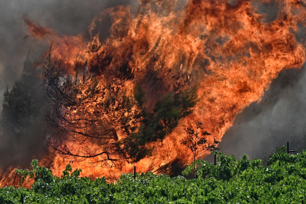 Συγκλονιστικές εικόνες από τη φωτιά στην Κορινθία