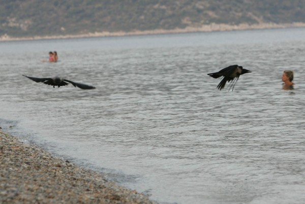 Αλόννησος: 11χρονος παγιδεύτηκε σε σιδερένιο κιβώτιο και έπεσε στη θάλασσα